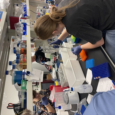 lab olympics