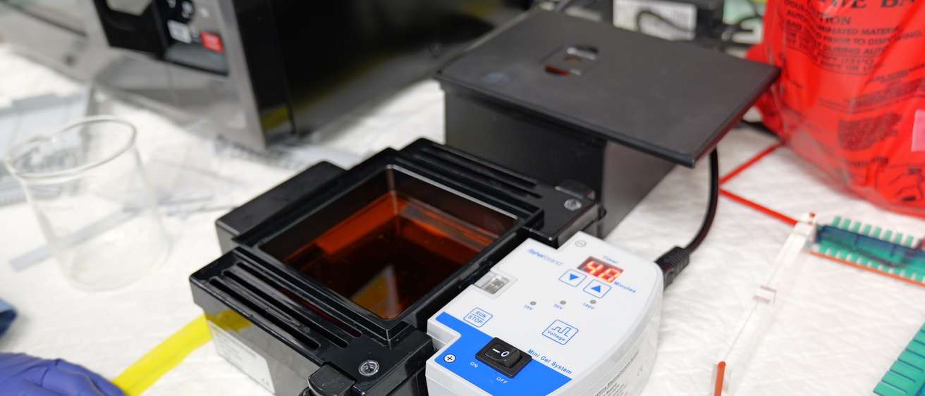 gel tank